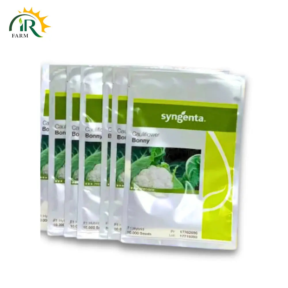 Bonny 10000 Seeds F1 Hybrid Cauliflower - Exceptional Disease Resistance for Higher Yields