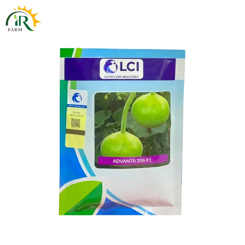 Bottle gourd Advanta 206 F1 Seeds