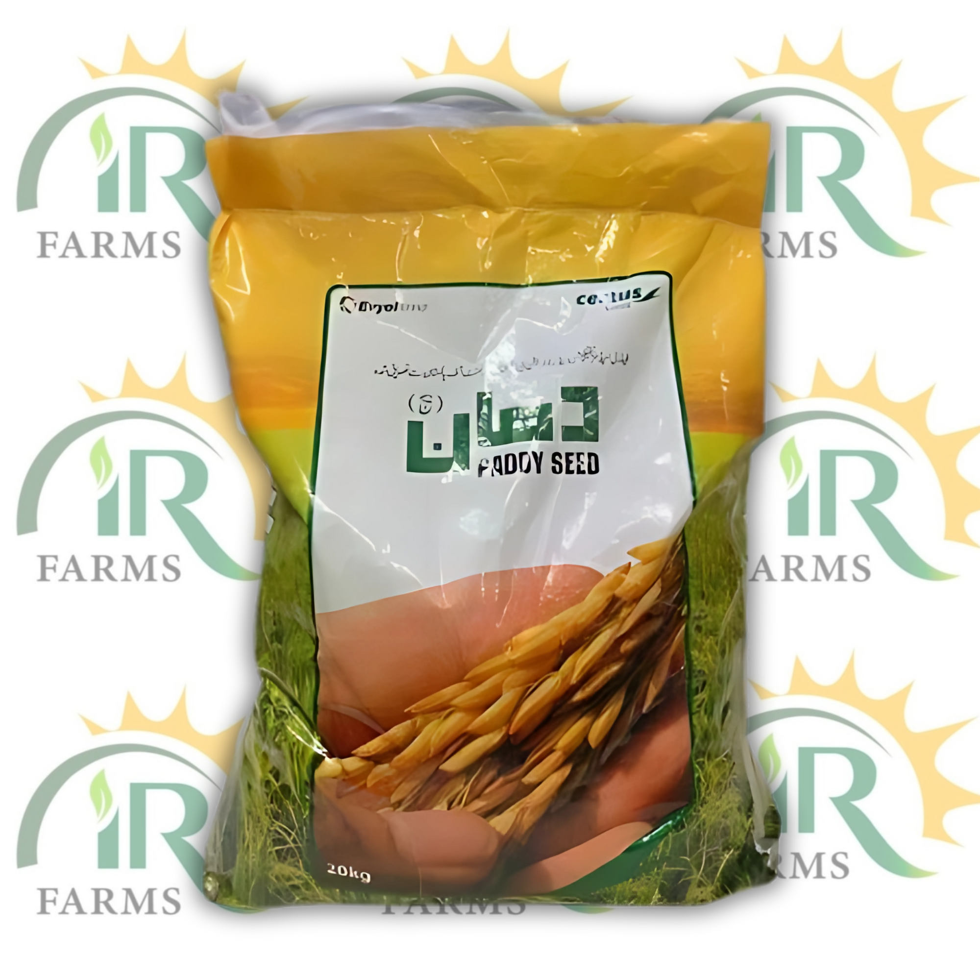 PK-386 Paddy Seed – 20kg | High-Yield Rice Seed | Evyol Group