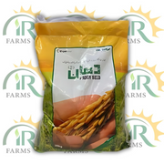 PK-386 Paddy Seed – 20kg | High-Yield Rice Seed | Evyol Group