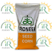 30y87 Hybrid Corn Seed Pioneer Brand 35000 Kernels Cortiva Autumn Corn
