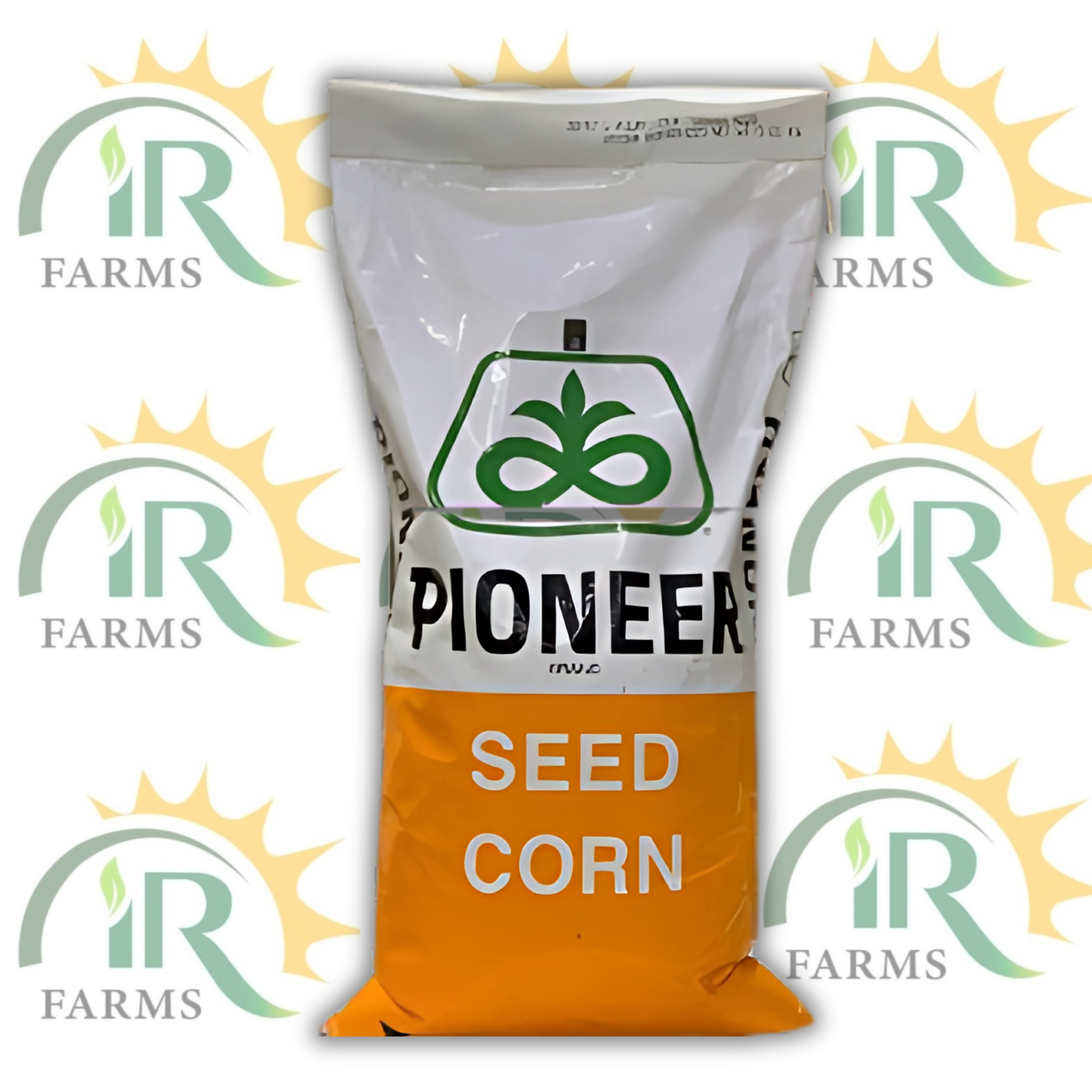 30y87 Hybrid Corn Seed Pioneer Brand 35000 Kernels Cortiva Autumn Corn