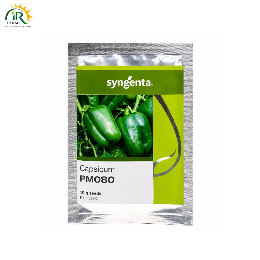 Pm080 Capsicum Hybrid F1 Seed 10gm 