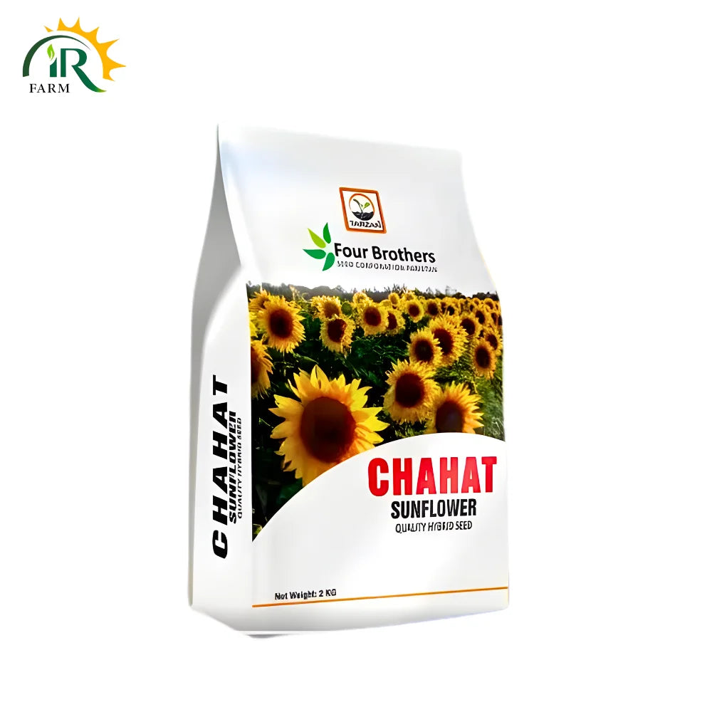 Chahat Sunflower Hybrid Seed - 2kg Seed for Maximum Yield and Healthier Crops