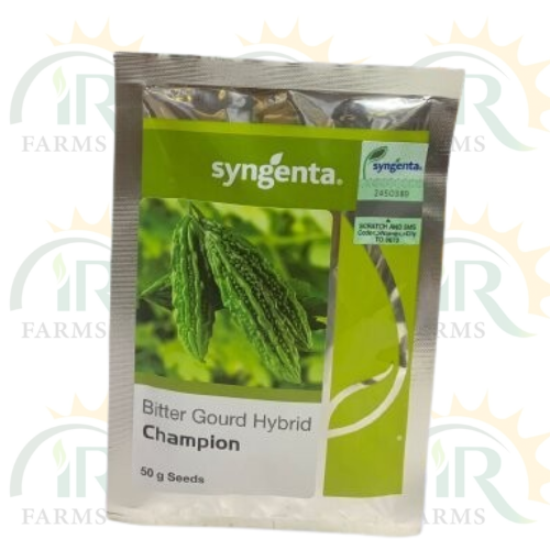 Champion Bitter Gourd Hybrid F1 BGH 741 50gm Syngenta 