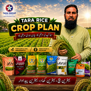 Rice Premium Crop Plan For 1 Acre | Weed Control + Pest Protection Schedule + Crop Nutrition | IR Farm