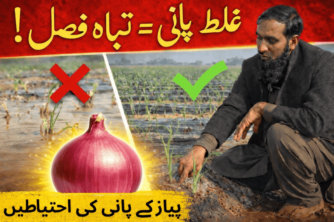 IR Farm | Best Online Agriculture Store In Pakistan