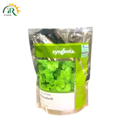 Coriander Seed 500gm Broad Leafs Syngenta Seeds Slowbolt Danya Ka Seed Chinese Parsley Dhania Seed Imported Dhaniya Seed Slow bolt