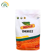 DK8022 Hybrid Corn Seed – 35,000 Kernels | Bayer Dekalb Maize (موسمی مکئی ہائبرڈ)