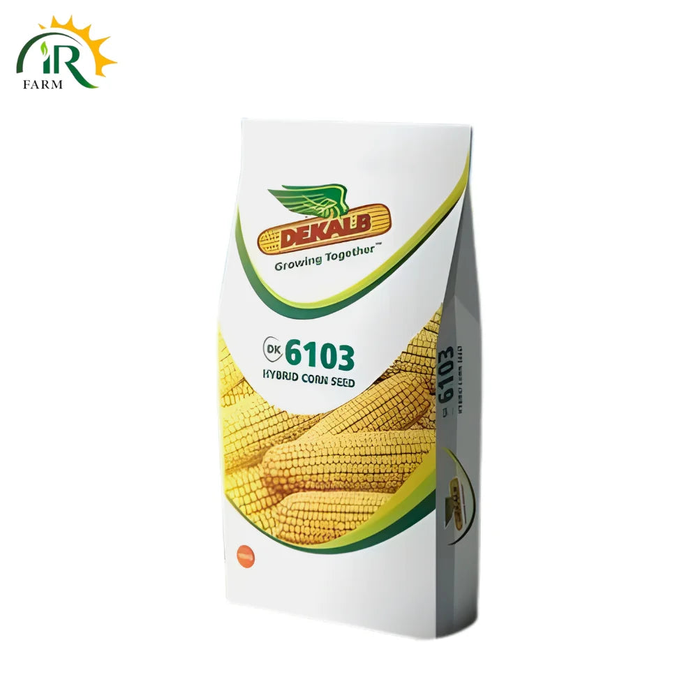 Dk 6103 Hybrid Corn Seed