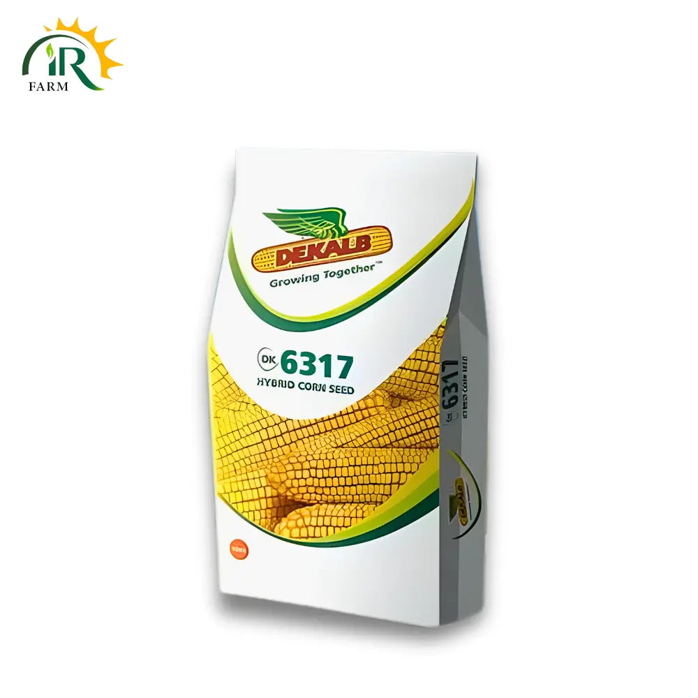 Dk 6317 Hybrid Corn Seed - Premium Maize Seeds for High Yield and Robust Growth
