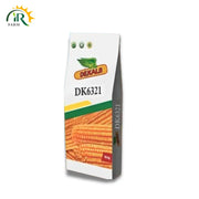 Dk 6321 Hybrid Corn Seed - Exceptional Maize Seeds for Maximum Yield and Robust Growth