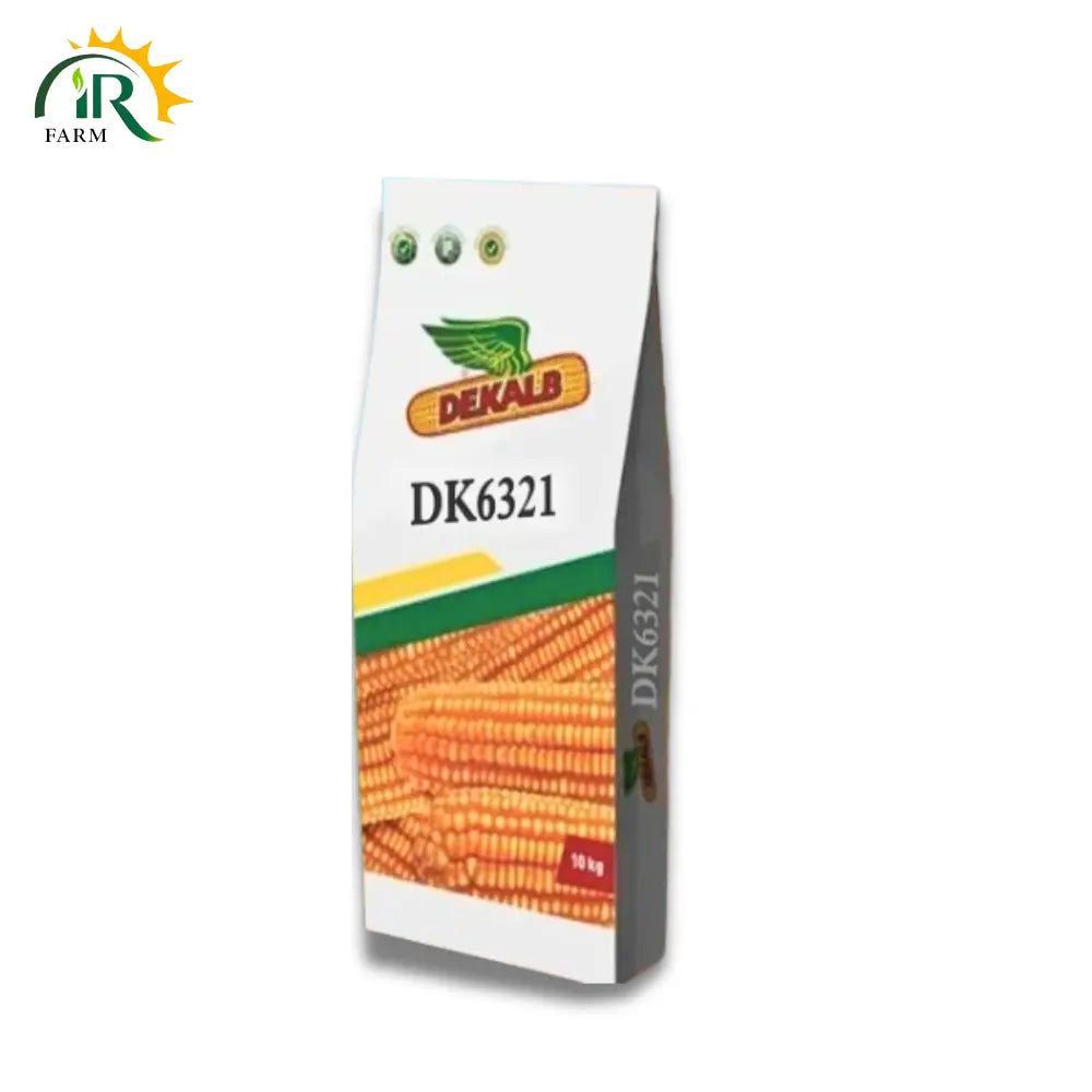 Dk 6321 Hybrid Corn Seed - Exceptional Maize Seeds for Maximum Yield and Robust Growth