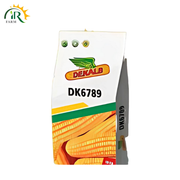Dk6789 Hybrid Corn Seed 10kg Monsanto Dekalb Bayer Maize Seeds