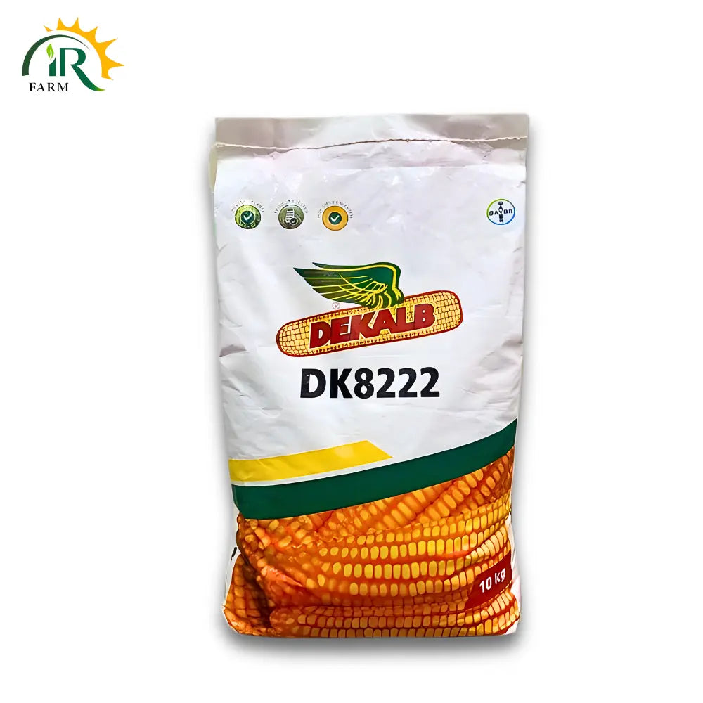 Dk8222 Hybrid Corn Seed - Premium Quality Maize Seeds for Higher Yield and Enhanced Crop Health
