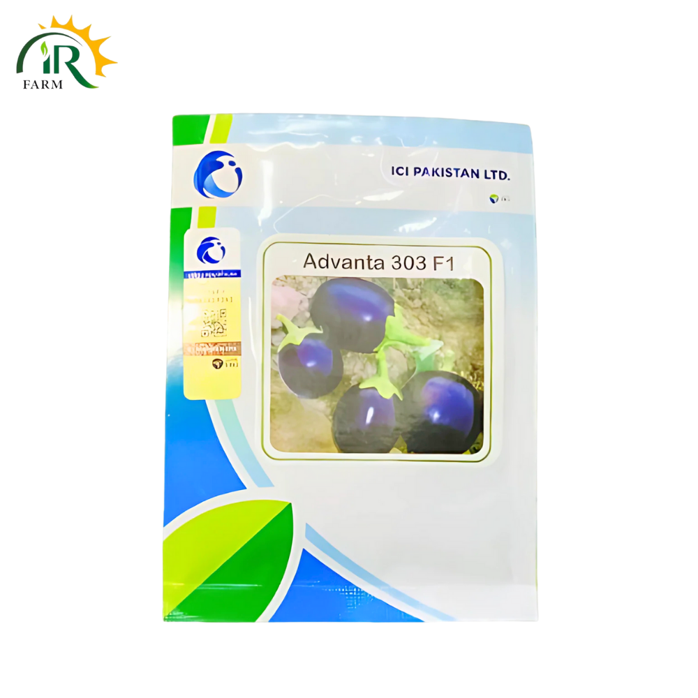 Egg Plant Advanta 303 F1 – 10gm by ICI Pakistan | High Yield Brinjal Hybrid Seed