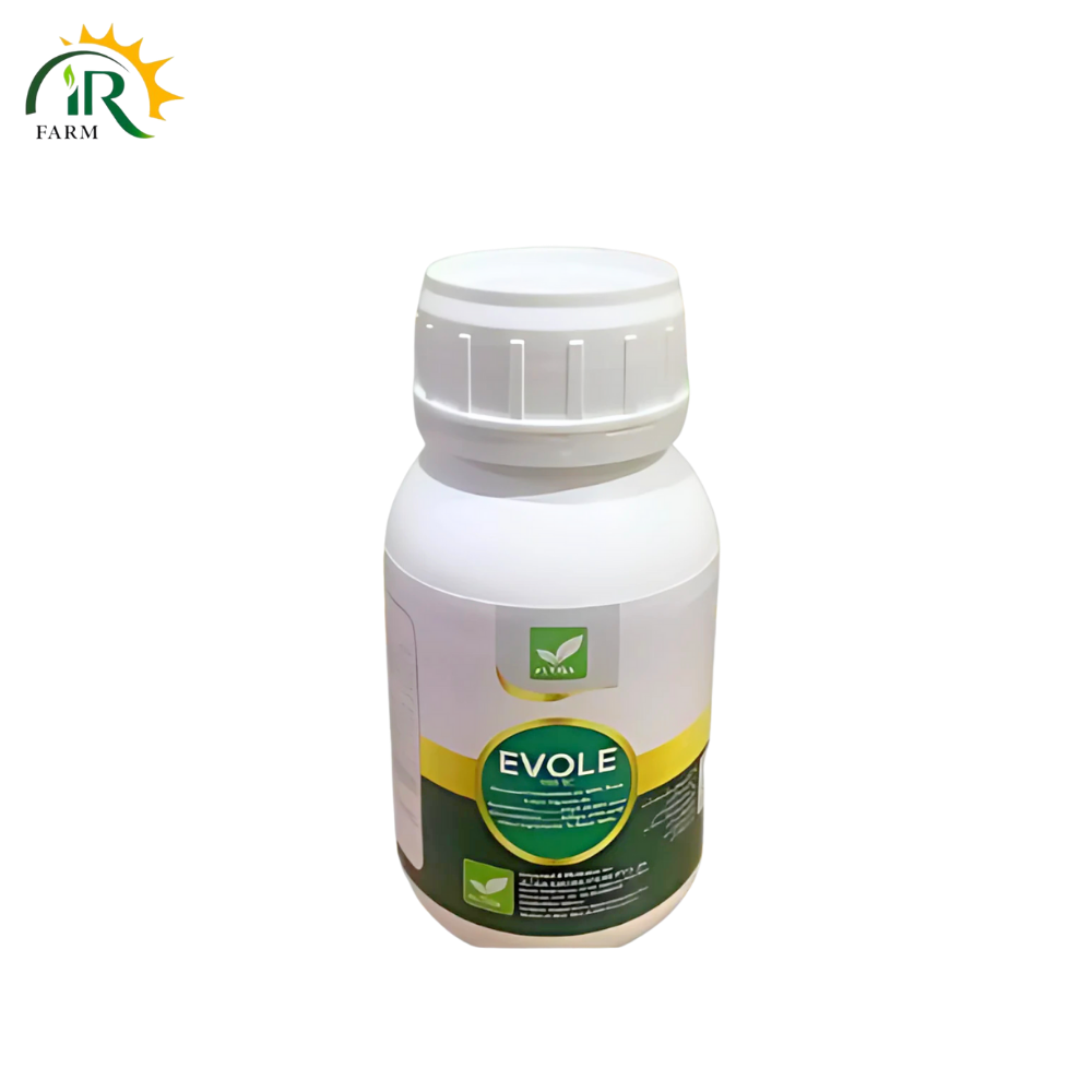 Evole 560SC Fungicide