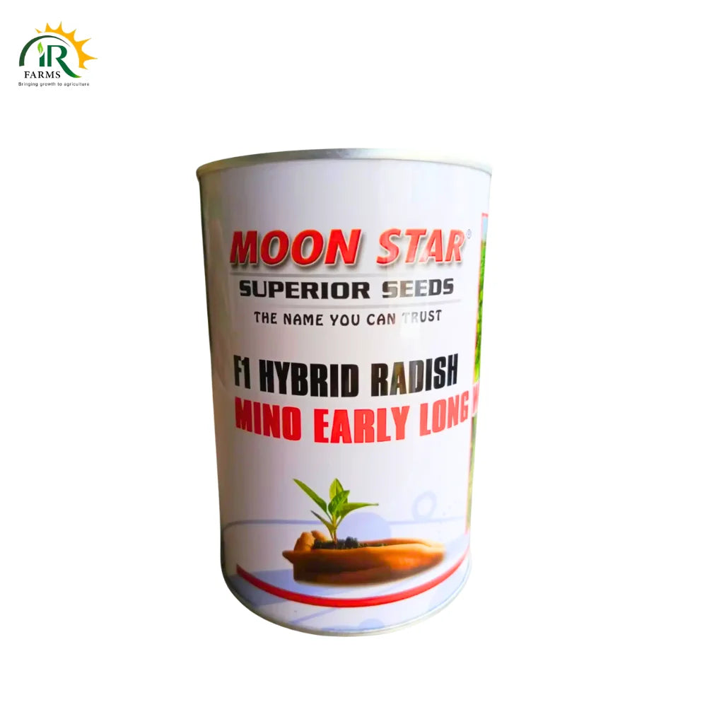Hybrid F1 Radish Mino Seed moonstar