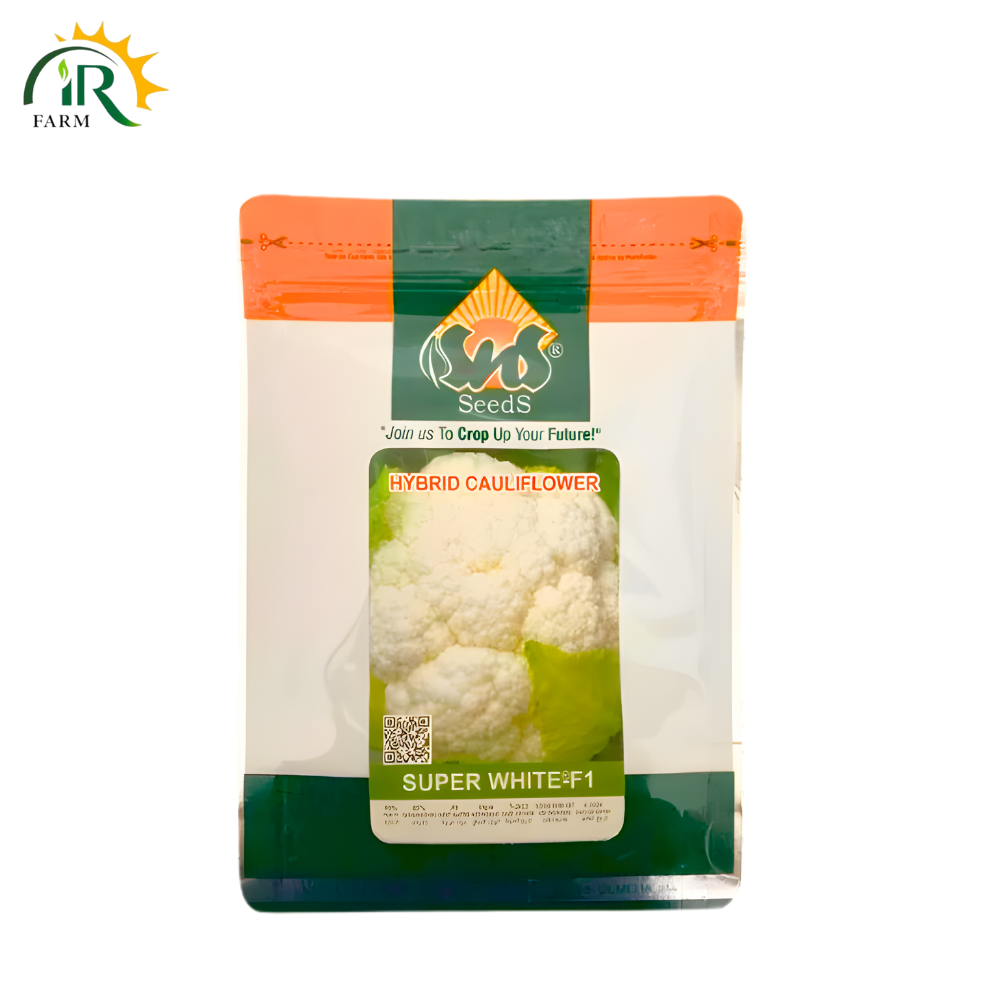 Hybrid Cauliflower Seeds Super White
