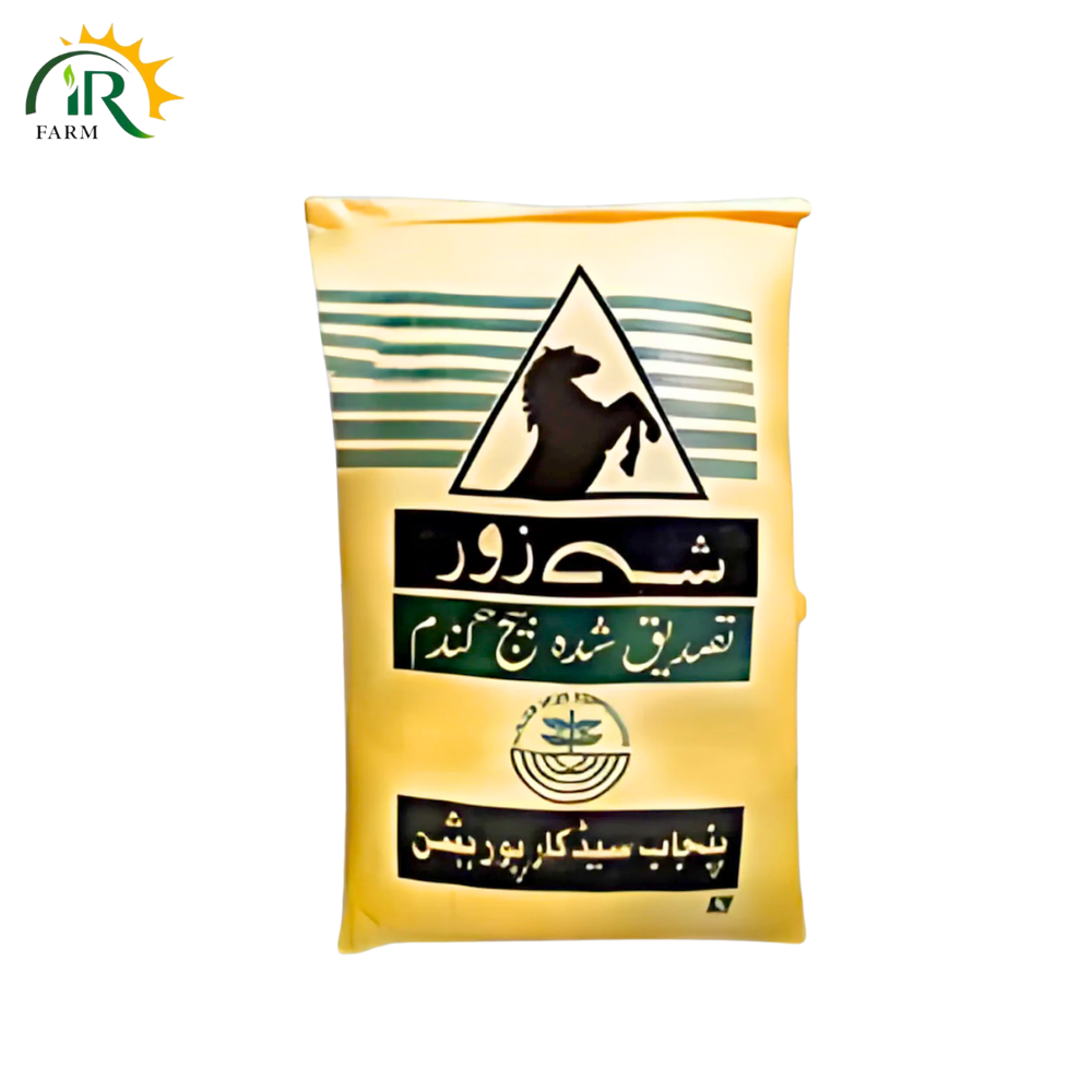 Fakhar-e-Bhakkar Wheat Seed 50kg – Basic Certified Gandum Beej | Punjab Seed Corporation