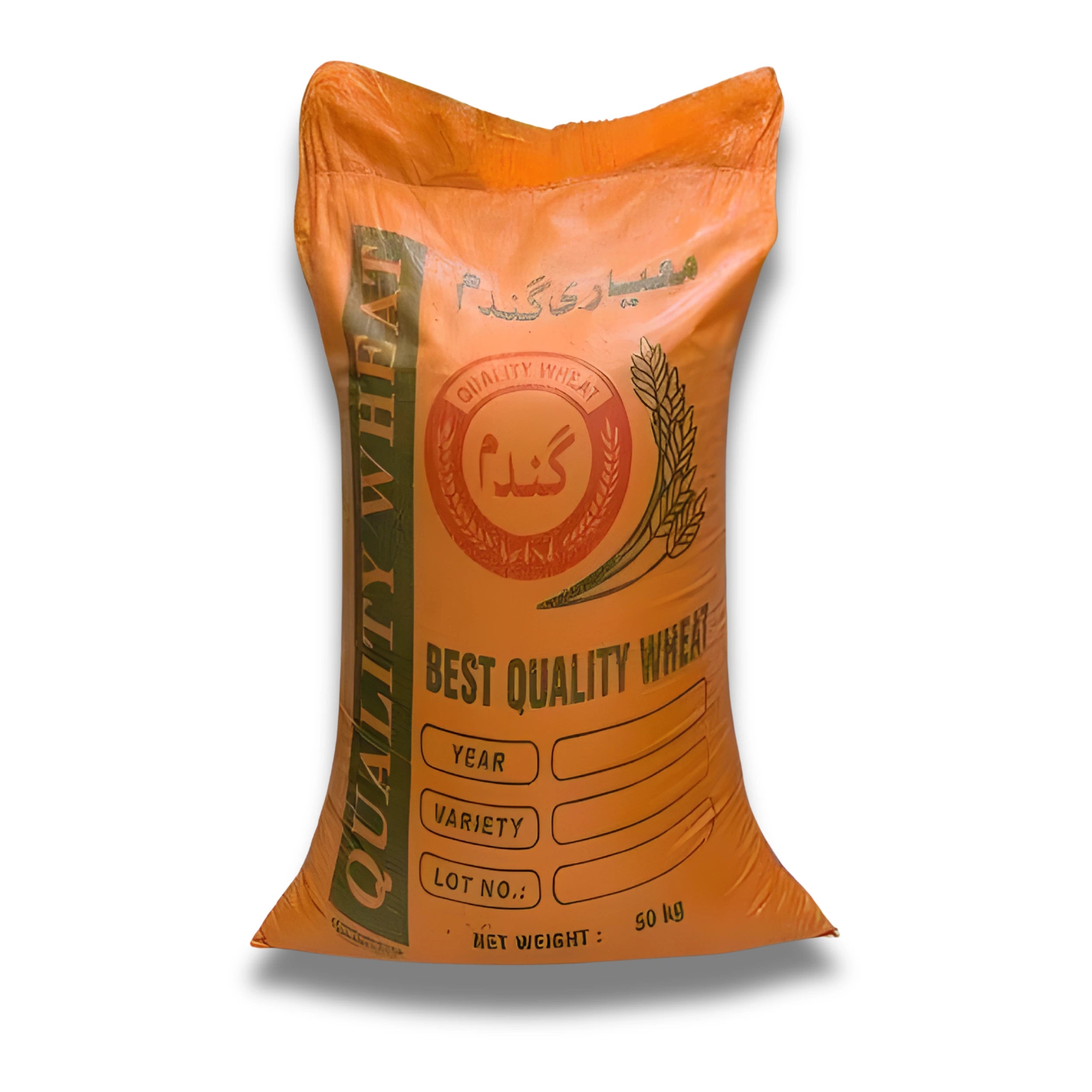 Falak 24 Premium Wheat Seed 50KG – Enhanced Variety by Global Products