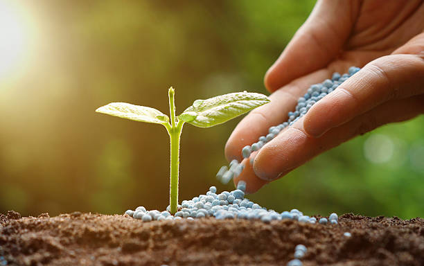 Fertilizer Guidance