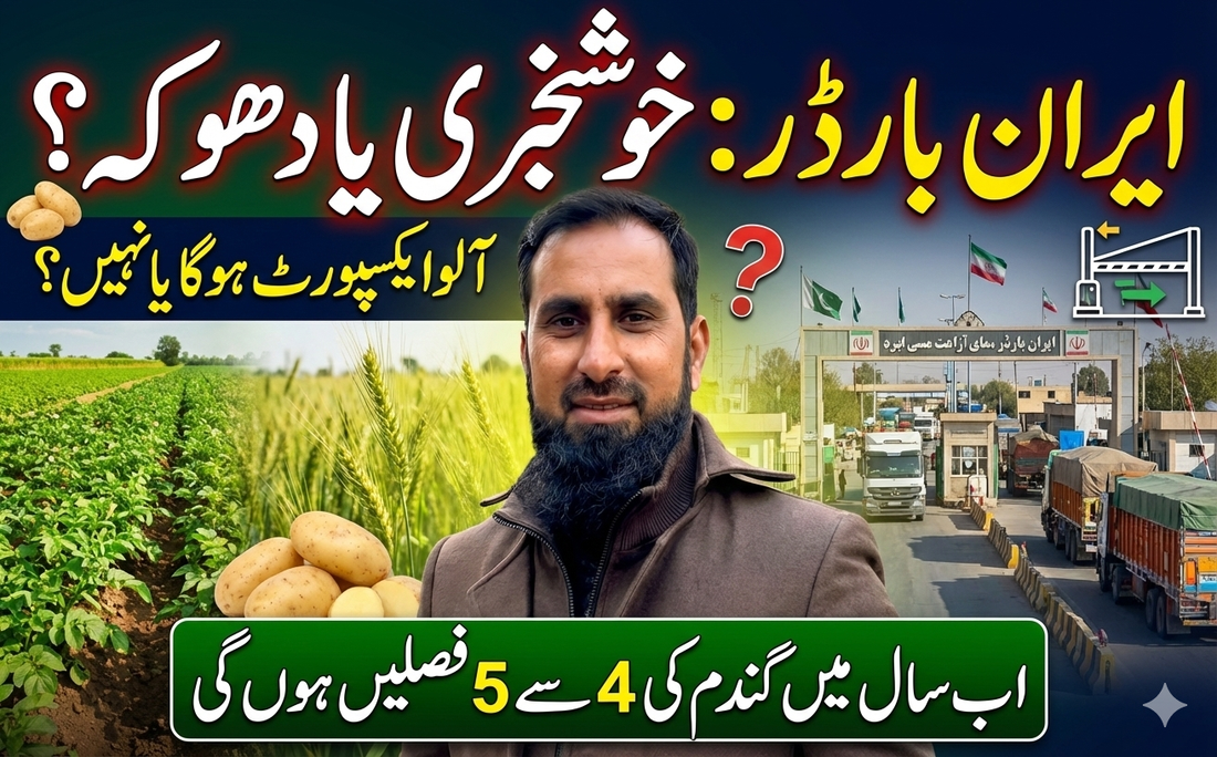 IR Farm | Best Online Agriculture Store In Pakistan