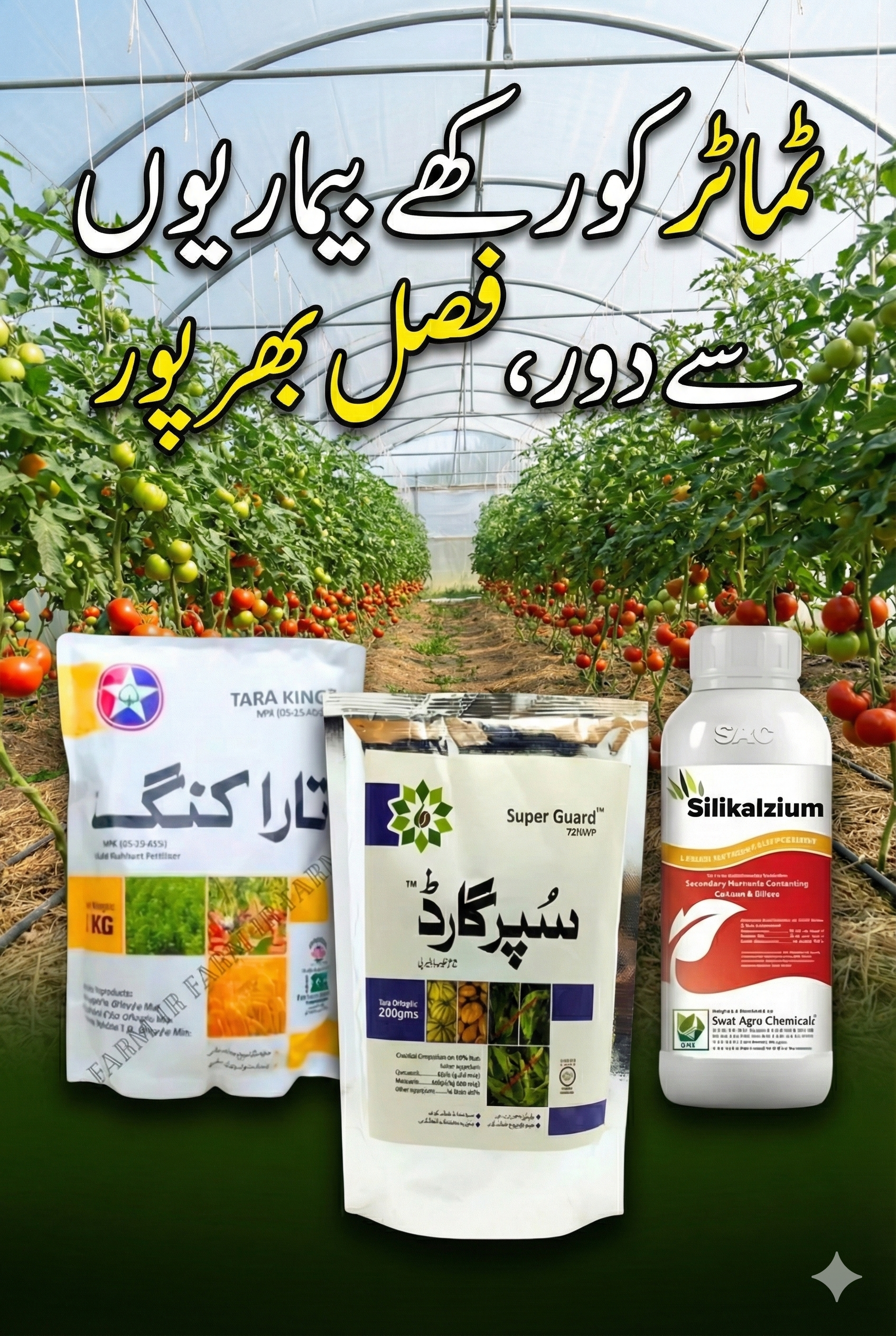 Ultimate Crop Growth & Protection Combo Pack – Silikalzium Foliar Spray + Super Guard 72% WP + Tara King NPK Fertilizer