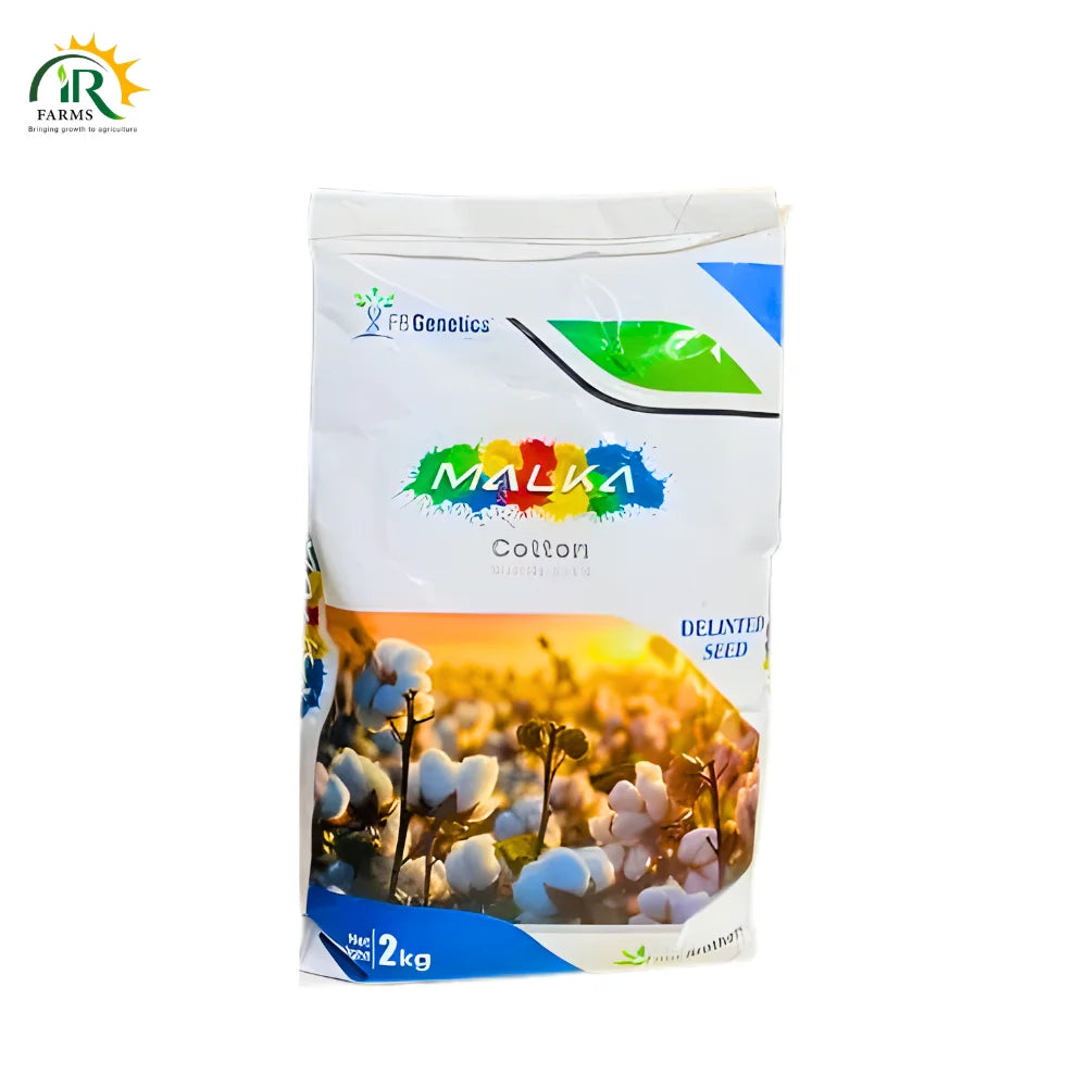 Ghuri 2kg Malka Cotton Seed
