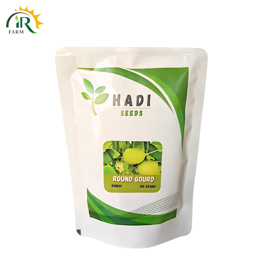 Hadi Seeds Premium Round Gourd (Kaddu کدو) Seeds - 100g Pack