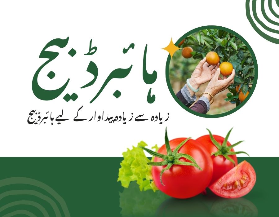 IR Farm | Best Online Agriculture Store In Pakistan
