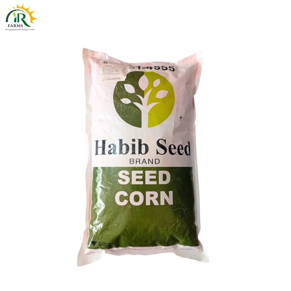 Habib Corn Seed H-4555 - Dual-Purpose for Grain and Silage