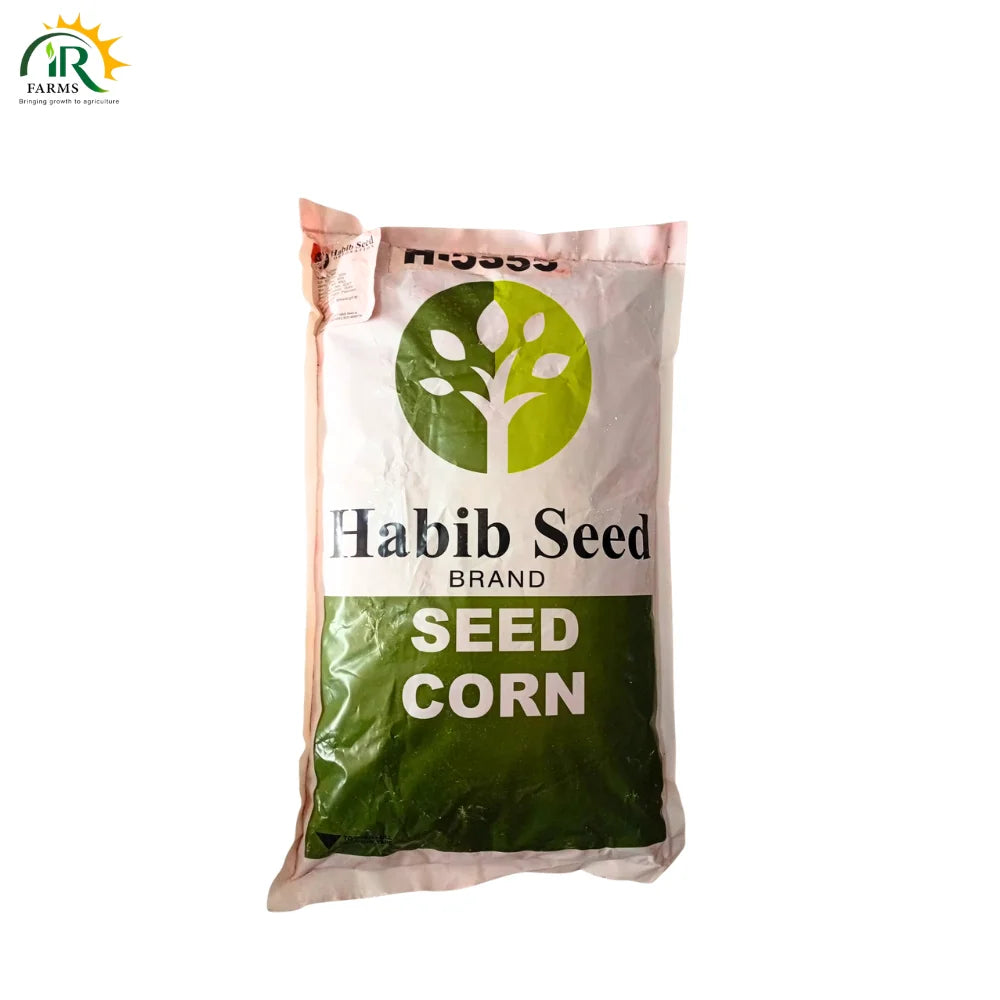 Habib Corn Seed H-5555 35,000 Kernels