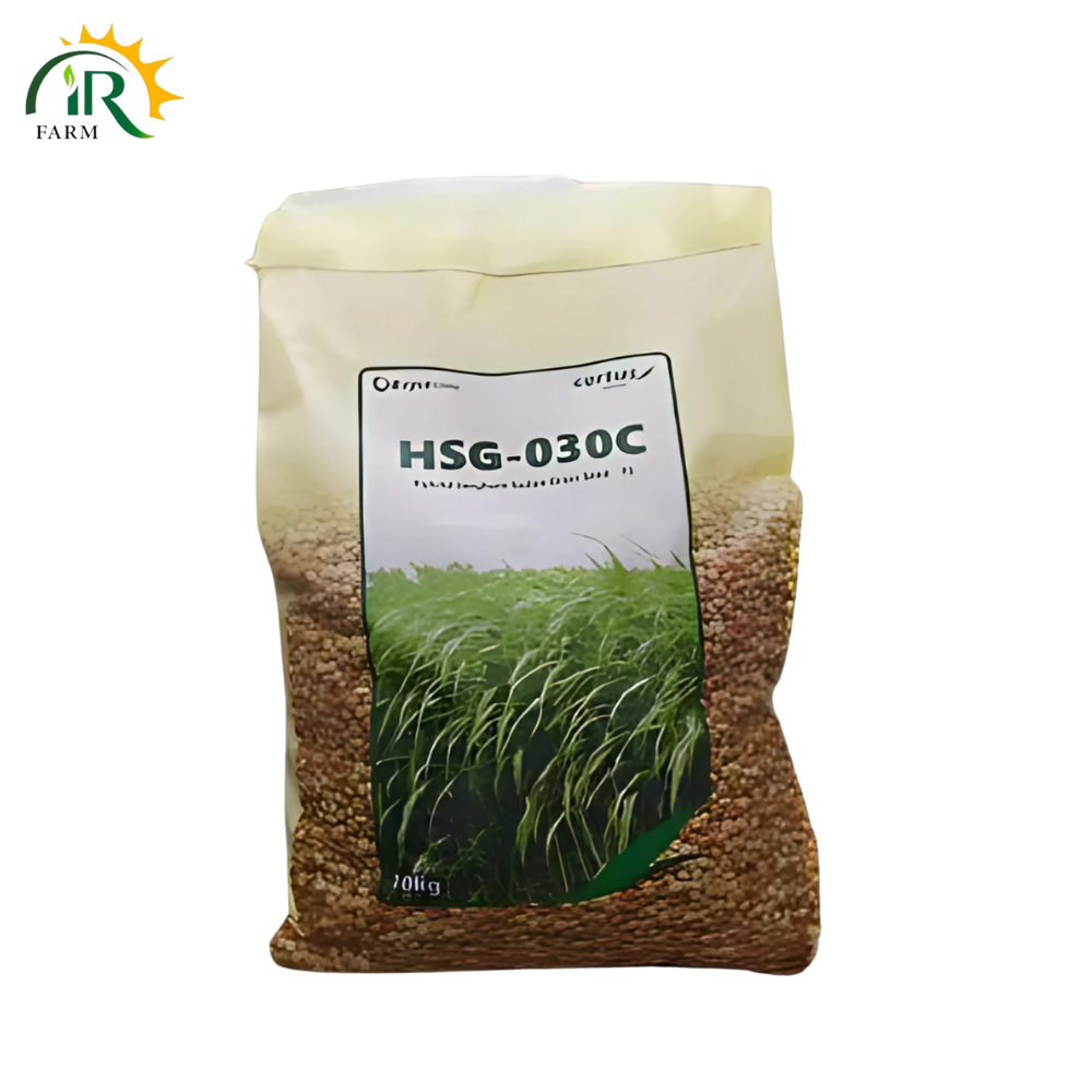 HSG-030C Hybrid Sorghum Sudan Grass Seed F1 – 10kg | Multicut Jawar By Evyol Group