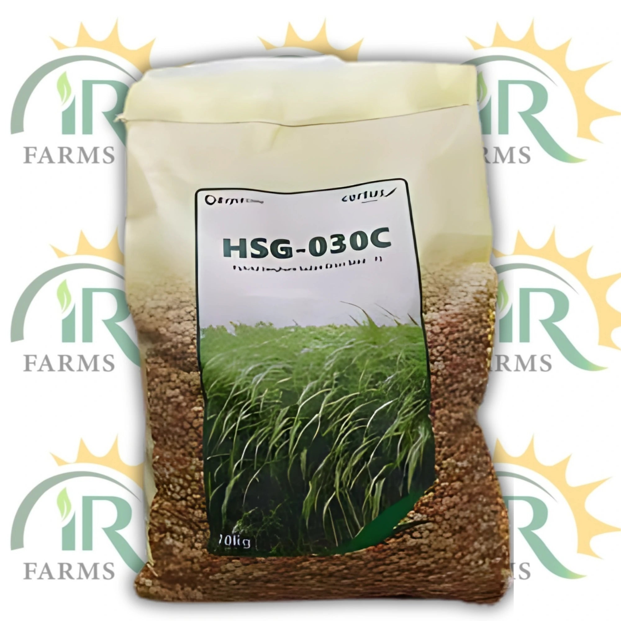 HSG-030C Hybrid Sorghum Sudan Grass Seed F1 – 10kg | Multicut Jawar | جوار کا بیج | Evyol Group