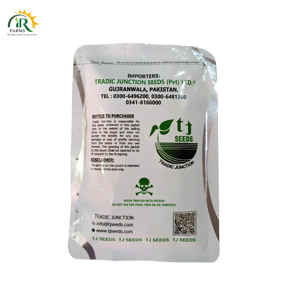 Green Round F1 Hybrid Pumpkin Seed