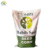 Habib Corn Seed H-4555 - Dual-Purpose for Grain and Silage