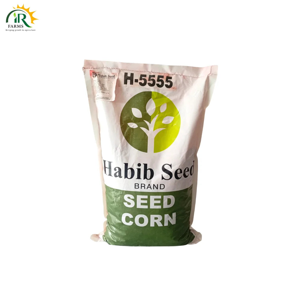 Habib Corn Seed H-5555 35,000 Kernels