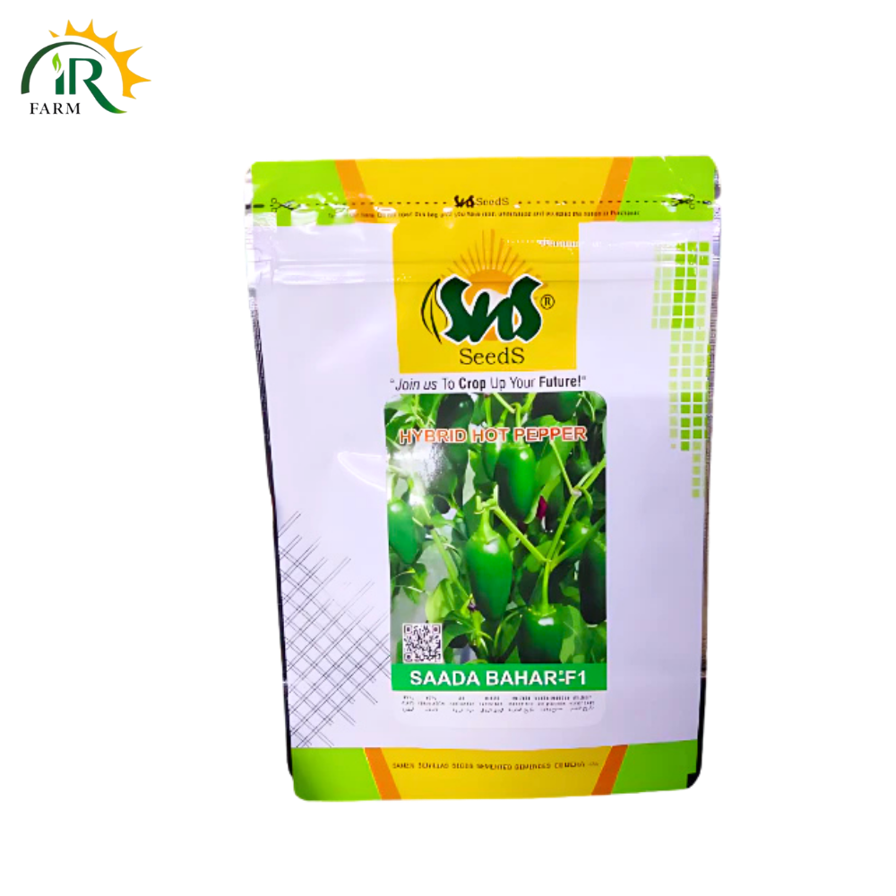 Hot Pepper Seeds | Variety Sadda Bahar F1 | SnS