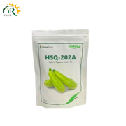HSQ 202A Hybrid Squash Seed F1