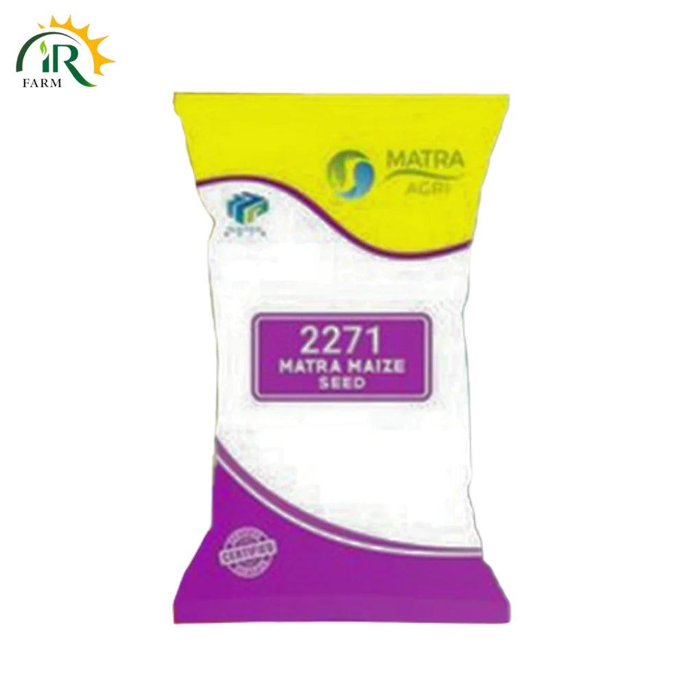 Hybrid Corn Seed 2271 - High Yielding 10kg Pack by Matra Asia - Best for Silage and Grain