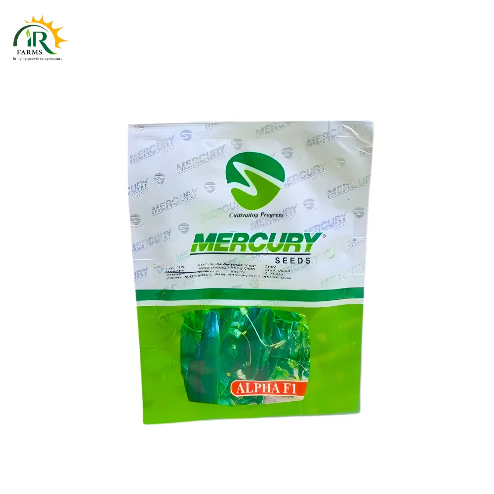 Hybrid Cucumber Alpha F1 Seed