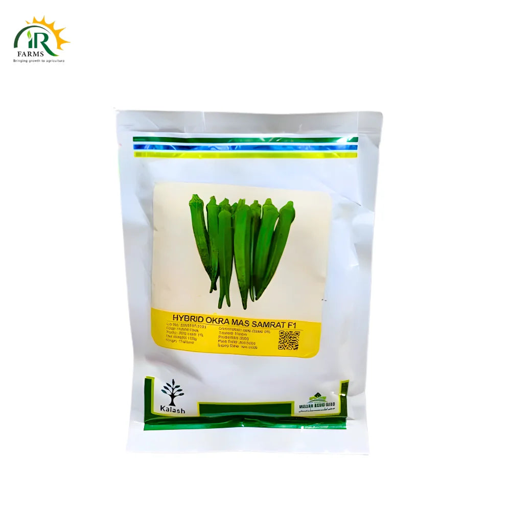 Hybrid Okra MAS SAMRAT F1 Bhindi Seeds