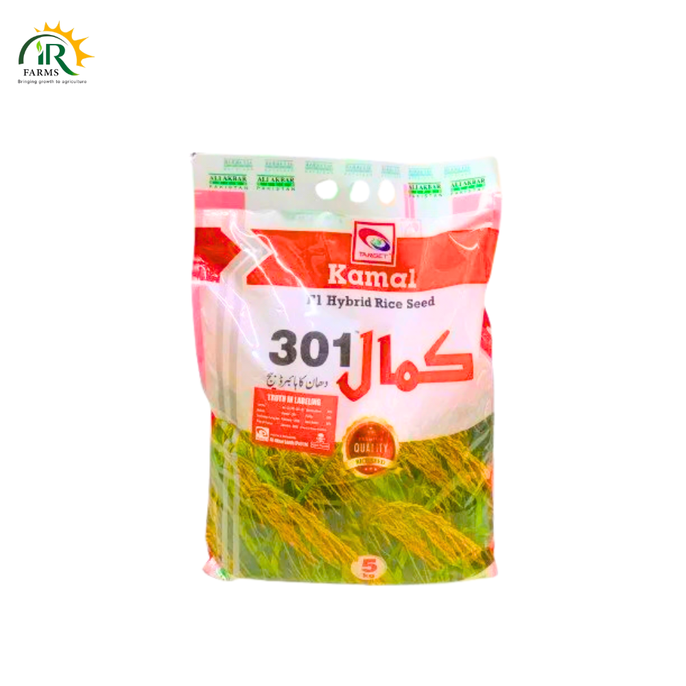 Kamal 301 Hybrid Rice Seeds 5kg by Ali Akbar - Alike 86 Supri White High-Yield Long Grain Paddy