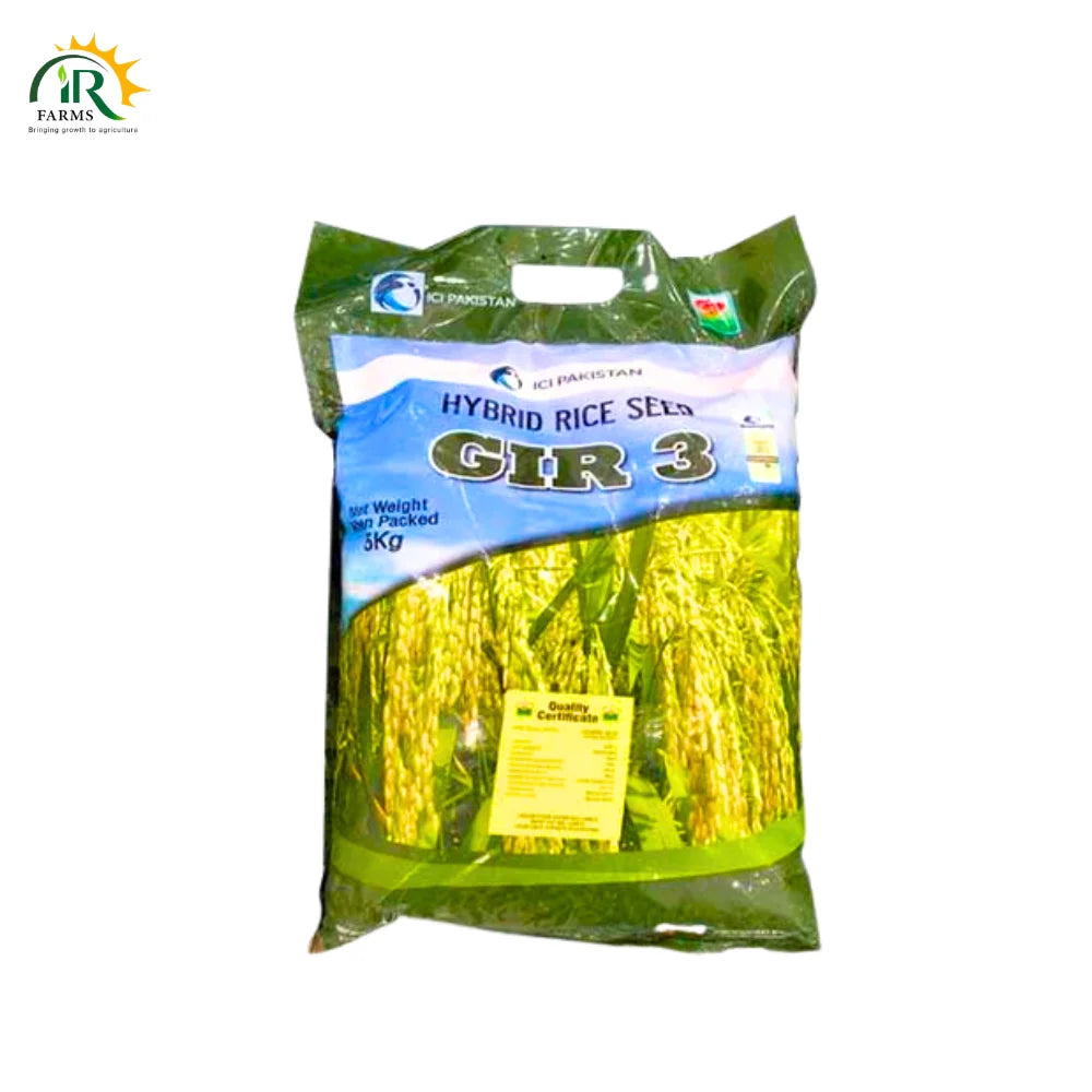Gir-3 Hybrid Rice Seed:
