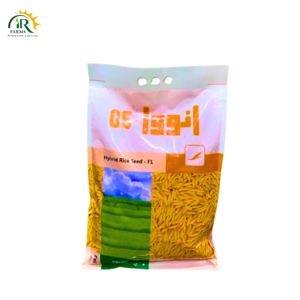 Innova 05 Hybrid Rice Seeds 5kg by Evyol Group - High-Yield White Grain Variety White Munji Seed