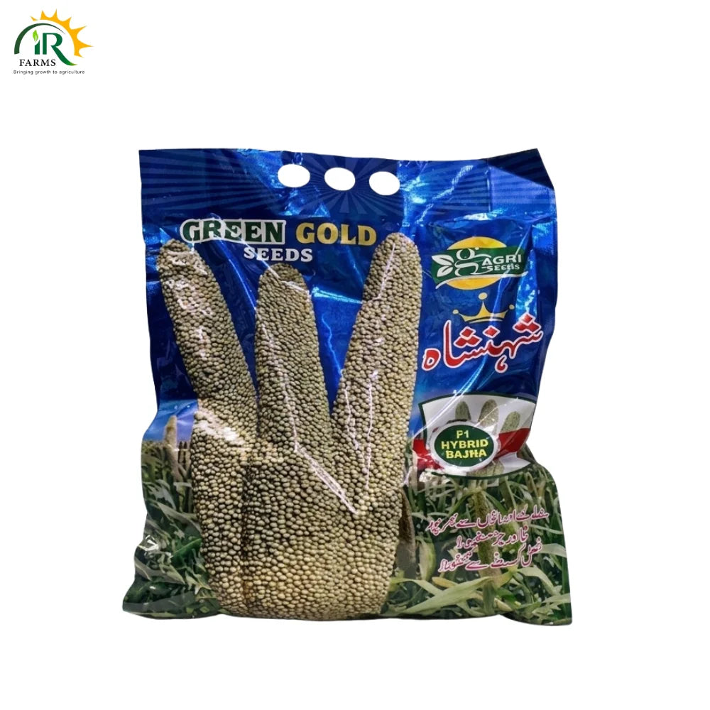 Hybrid Pearl Millet Shahansha (F1) Seed 2.5KG 