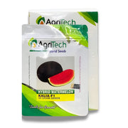 Hybrid Watermelon Kalia-F1 Seeds 50GM – High Yield, Sweet Red Flesh Variety by Green Gold