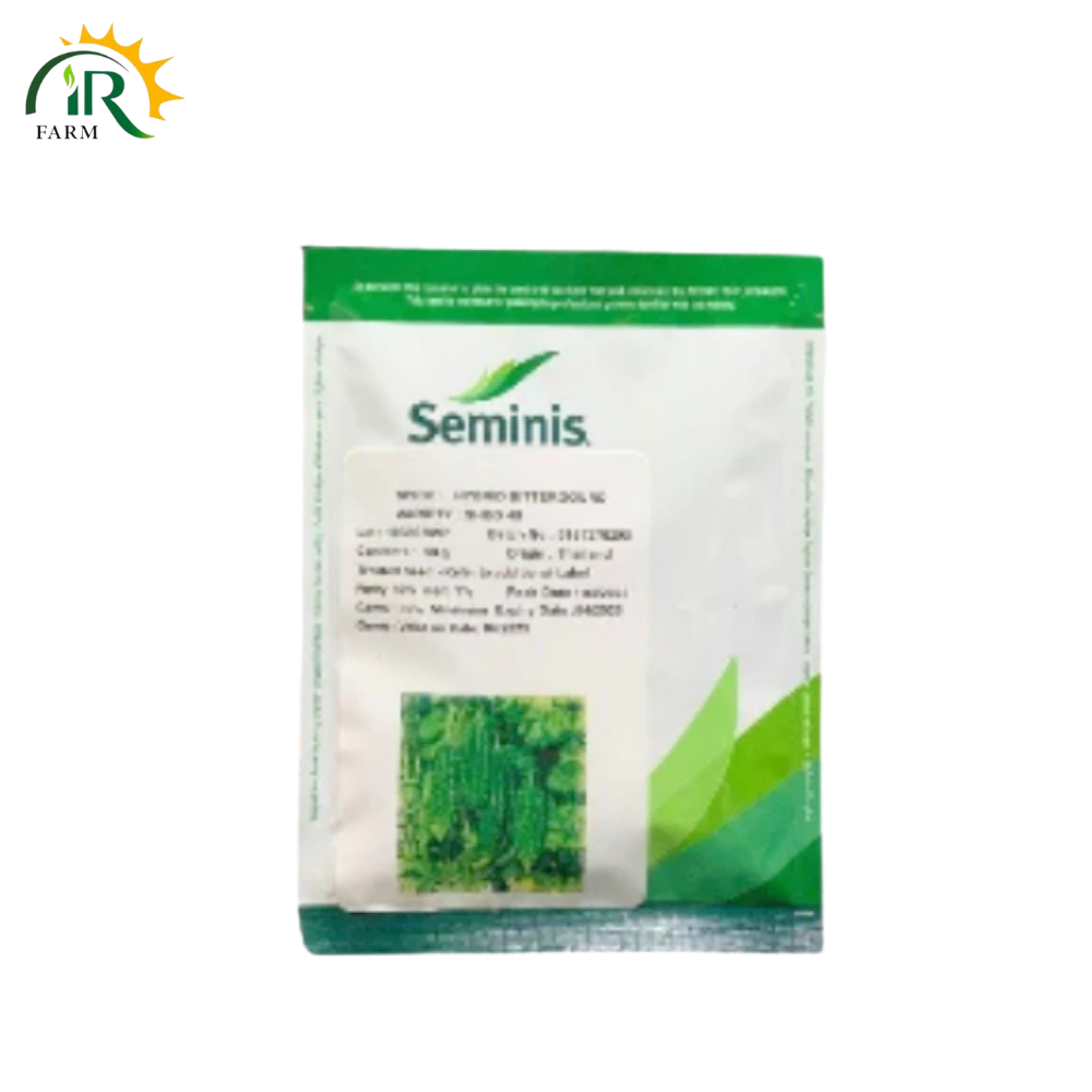 Hybrid Bitter Gourd Seminis SHBG 48 50GM Seeds (Karela Seed)