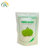 Hybrid Bottle Gourd Seed F1 HBO 242A Kaddu Seed Evyol Group